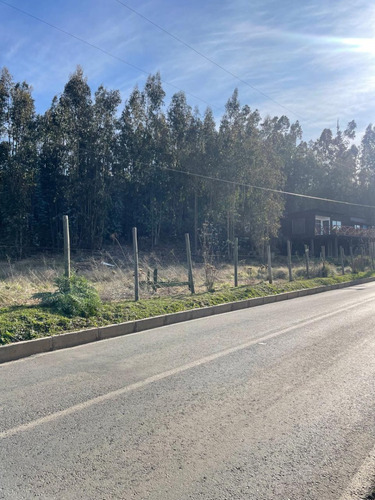 Tres Sitios Urbanos Camino Dolores Jeria Navidad A Matanzas