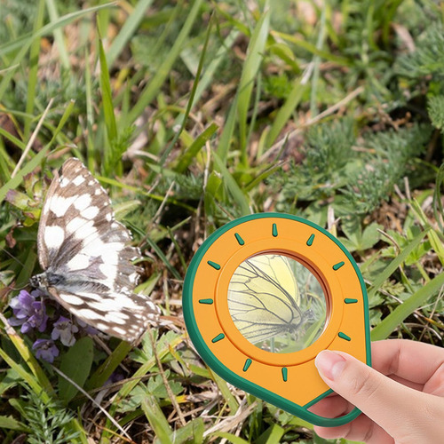 Kit De Aventura Al Aire Libre Juego De Explorador Al Aire Li