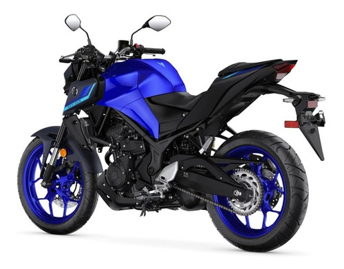 Imagen 7 de 25 de Motocicleta - Yamaha - Mt-03 A
