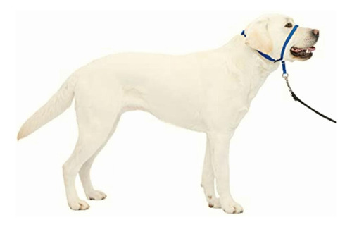 Petsafe Gentle Leader Collar Para Perro, Sin Tirones, Azul