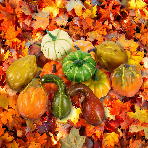 12 Unidades De Calabazas Artificiales Artificiales Realistas