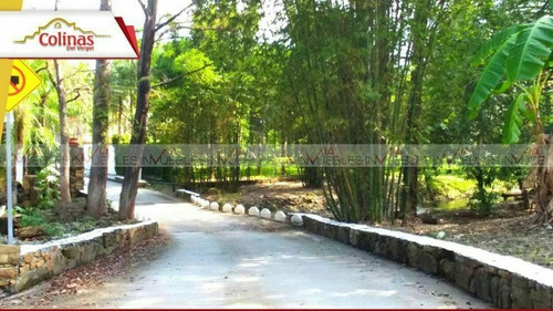 Imagen 7 de 15 de Terreno Residencial En Venta En El Vergel, Allende, Nuevo Le