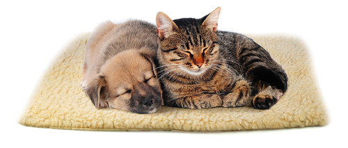 Cama Termica Para Mascotas Perros Y Gatos Y15168-2