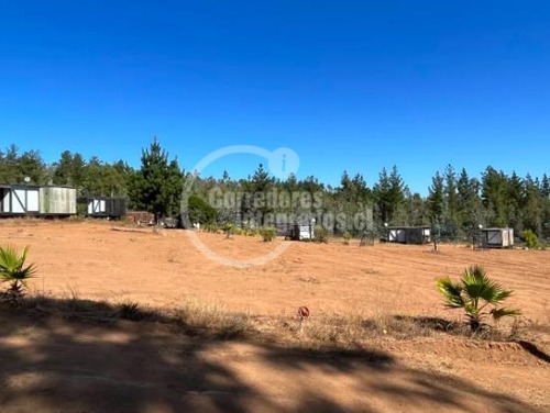 Parcela Comercial 11.000 M2 Con 7 Cabañas En Algarrobo