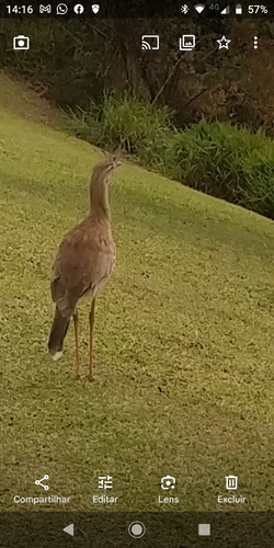 Belíssima Propriedade Em Visconde De Mauá
