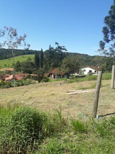 Imagem 1 de 18 de Terreno - 407 - 69476279