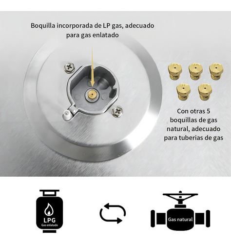 Parrilla Estufa De Gas Acero Inoxidable 5 Quemadores Cocción Plateado