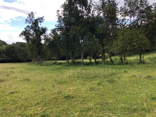Parcela En Venta En Futrono - Llifen - 1.05 Hectáreas C/rio
