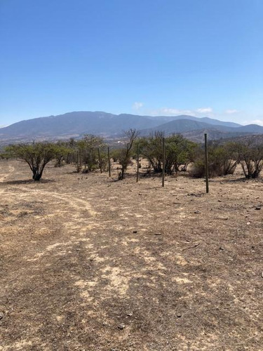 Imagen 9 de 16 de Sitio Condominio Foresta De Zapallar/ruta 5 Norte