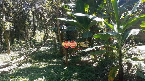 Imagem 5 de 7 de Terreno Comercial - Núcleo Residencial Doutor Luiz De Mattos Pimenta - Te3085