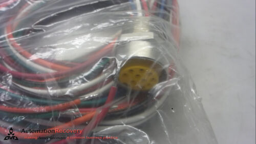 Turck Rkf 106-6m/14.75/npt, Minifast Female Receptacle, Ccf