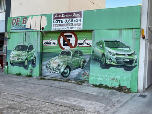Alquilo Espacio Para Uso Comercial 8,66 X 34