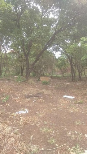Imagem 6 de 12 de Terreno, Residencial Luana Park, Goiânia - Go | 471705 - Go - Te0017_abi
