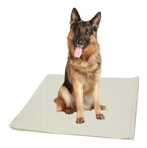 Jornal Pet Para Cachorro Grande Porte 500 Folhas 10kg