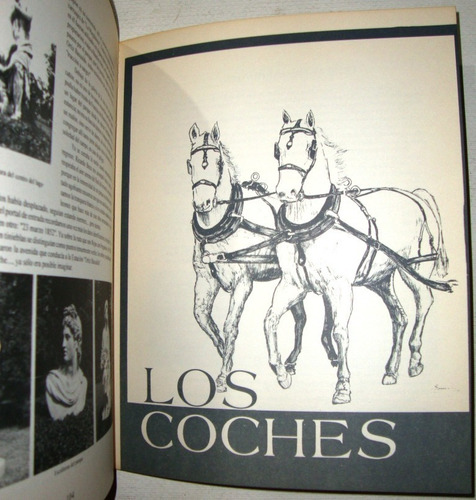 Estancia Campo Argentino La Magdalena Tradicion Carruaje Etc