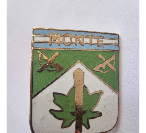 Insignia Pin Distintivo Escudo Ejercito Regimiento Monte 