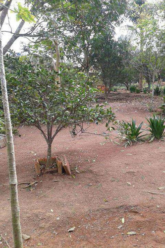Imagem 6 de 9 de Terreno, Parque Fernão Dias, Santana De Parnaíba - R$ 550.000,00, 0m² - Codigo: 208700 - V208700