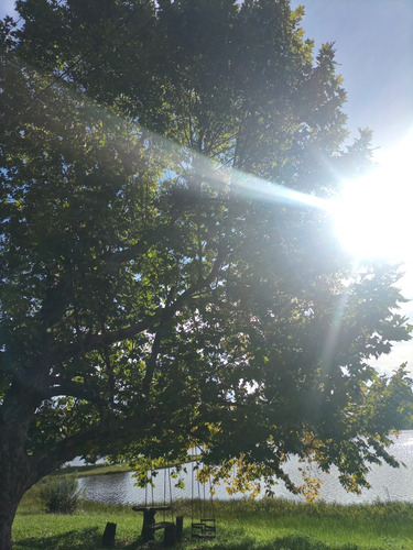 Area No Recreio Da Serra, Próximo De Curitiba