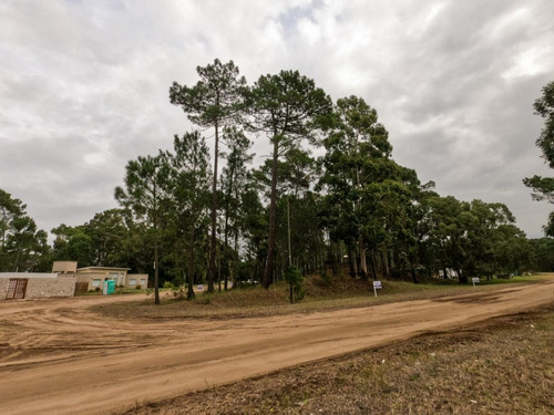 Imagen 4 de 4 de Lote Terreno Unifamiliar En Venta Pinamar Norte - Zona Alamos Ii