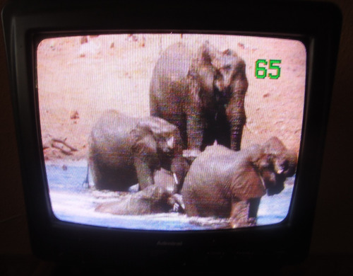 Imagen 5 de 6 de Tv Admiral 14 ¨