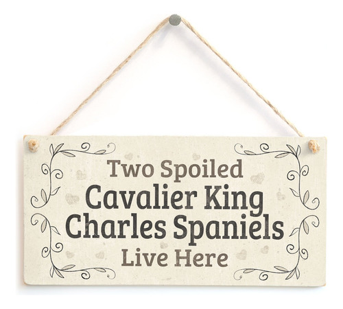 Do Spoiled Cavalier King Charl Spaniels Vivir Aqui  Perro