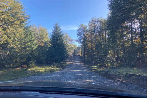 Venta Parcela Bosque Pucón