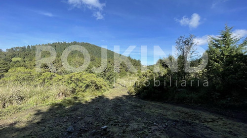 Imagen 16 de 27 de Terreno En Venta Salazar, Estado De México