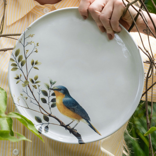 Jogo C/ 6 Pratos Raso Bio Birdy Porto Brasil