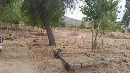 Parcela, Sector Los Naranjos, Camino El Toro, Curacaví