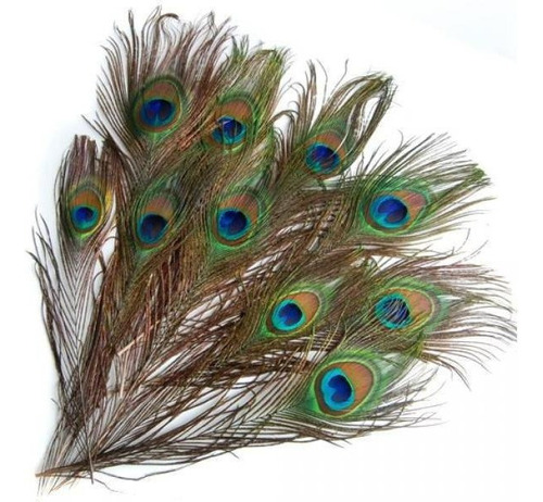 Wqw 20 Piezas Plumas De Cola De Ojo De Pavo Real For Máscara