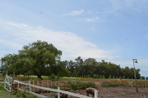 Imagen 8 de 24 de Venta De Campo De 2 Hectáreas En Guernica