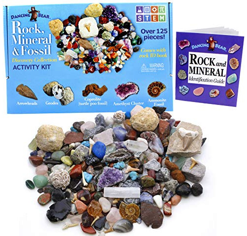 Dancing Bear Rock, Mineral & Fossil Collection Activity Kit