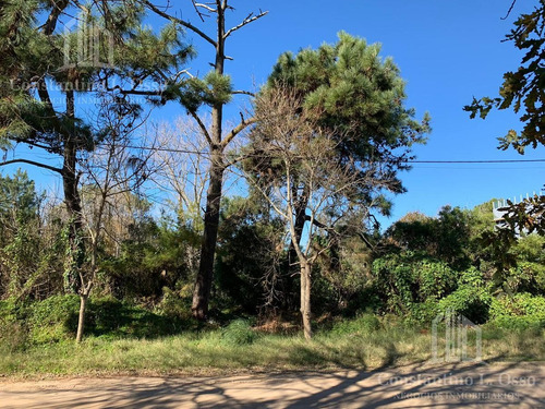 Imagen 3 de 15 de Lote Venta - En Ostende - A 200 Metros Del Mar