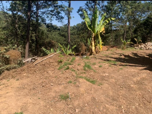 Terreno Semiplano En Circuito Avándaro Con Título Privado