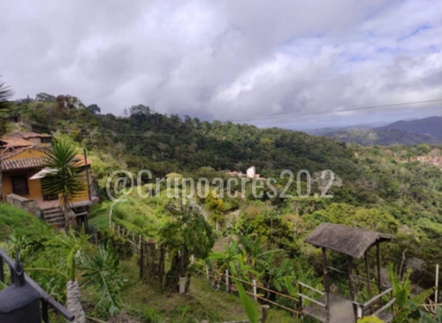 En Venta Lote De Terreno Ubicado En Hoyo De La Puerta Miranda A Solo 20 Minutos De Caracas. Cf