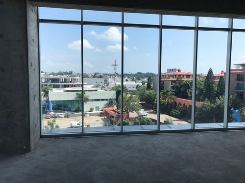 Imagen 11 de 16 de Corporativo En Renta O Venta