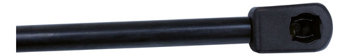 Par Amortecedor Tampa Tras Chrysler 300c Touring Srt8 04-10