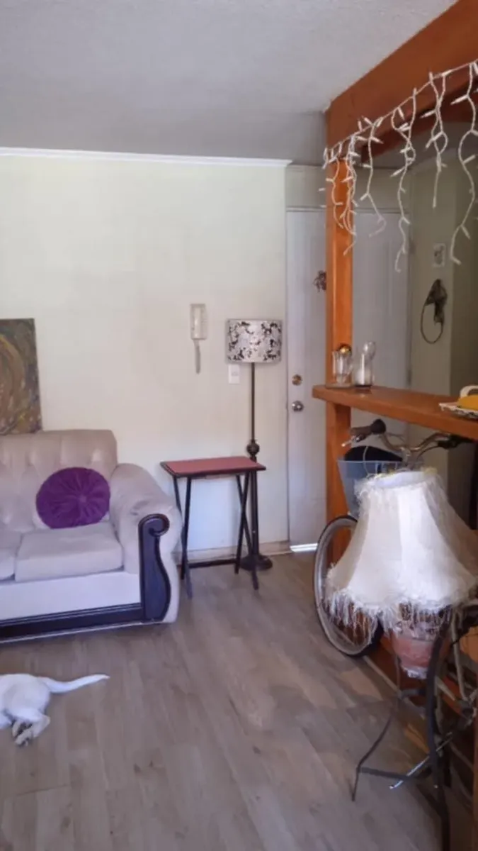 Imagen 4 de 14 de Departamento En Condominio Piso 1