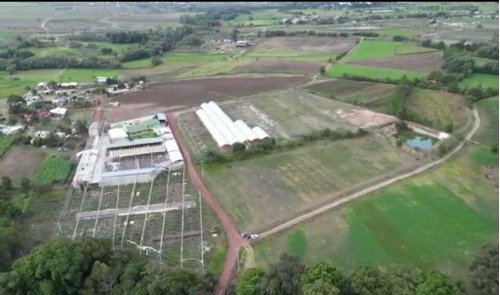 Venta De Rancho En Acatlán. (producción Ganadera Y De Queso).