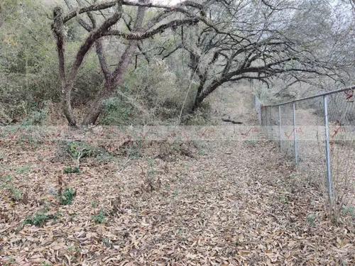 Campestre El Barro