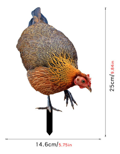 Letrero De Gallina Para Jardín, Escultura Realista De A