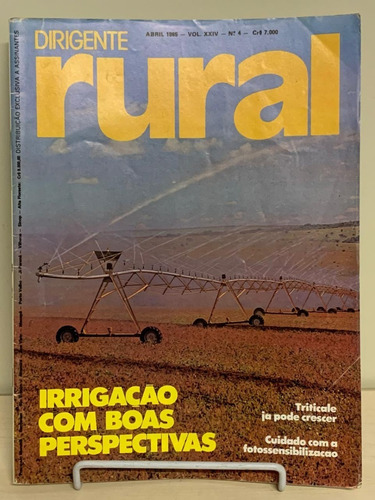 Revista Globo Rural - Nº 4