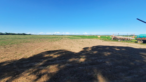 Campo Agricola De 40 Hectareas En Rueda (santa Fe)
