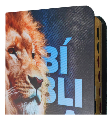 Biblia Sagrada Naa Leão Edição De Bolso Com Indice Lateral