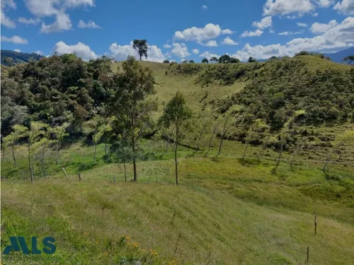 Grandiosa Finca Con Cultivos De Aguacate Hass(mls#247937)