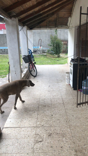 Imagen 10 de 16 de Casa 3 Amb, 2 Lotes, Zona Hp Austral C/pileta