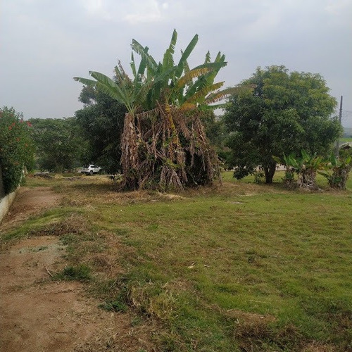 Imagem 5 de 6 de Terreno Grande Em Lindo Condomínio Alto Padrão - Te0088
