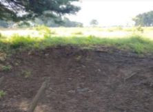 Vendo Terreno Ideal Para Siembras O Pasto