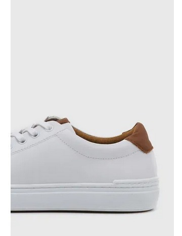 Zapatilla Hombre Stork Man Sosuke Acordonada Urbana Vestir