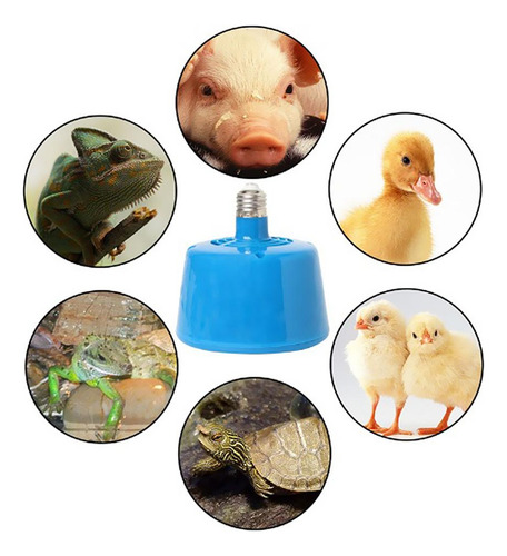 Lámpara Calefactora Para Aves De Corral Para Reptiles, Lámpa